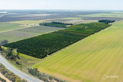 1167 Bookpurnong Rd, Bookpurnong, SA 5333