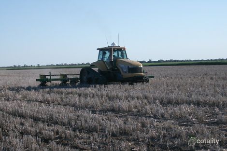 365 Avondale Rd, Boggabilla, NSW 2409