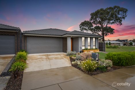 44 Pademelon St, Throsby, ACT 2914