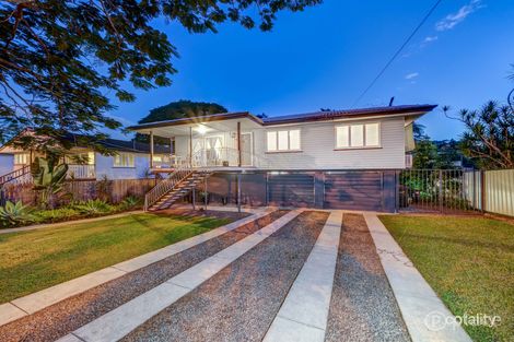 49 Camelia Ave, Everton Hills, QLD 4053