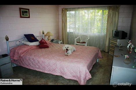 Property photo of 16 Elm Street Moffat Beach QLD 4551