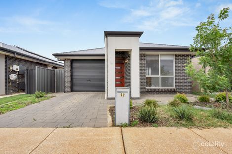 19 Bracken Ave, Andrews Farm, SA 5114