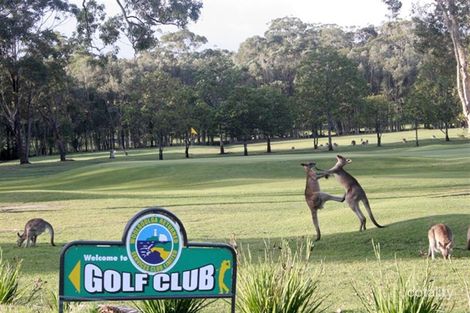 Property photo of 12 Schofield Drive Safety Beach NSW 2456