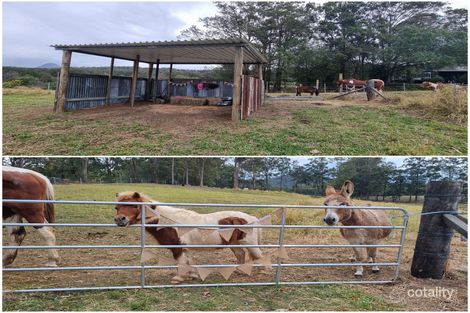 Property photo of 65 Stirling Road Peachester QLD 4519