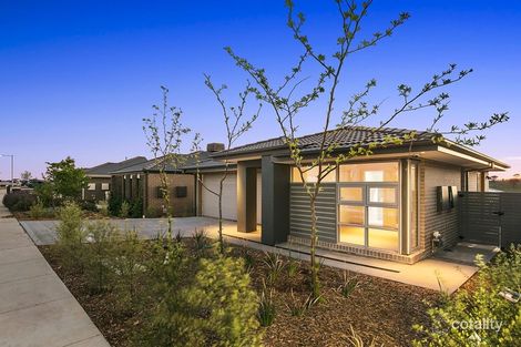 Property photo of 91 Bieundurry Street Bonner ACT 2914