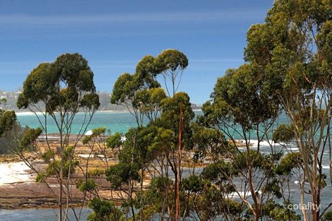 31 Buchan St, Mollymook, NSW 2539