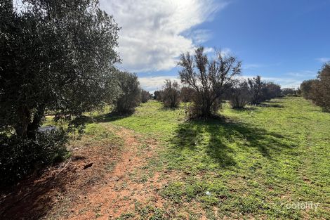 Property photo of 120 Muster Drive Napperby SA 5540