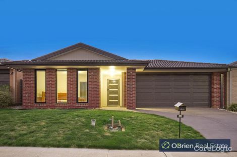 Property photo of 46 Abrus Circuit Cranbourne North VIC 3977