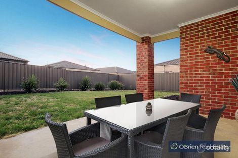 Property photo of 46 Abrus Circuit Cranbourne North VIC 3977