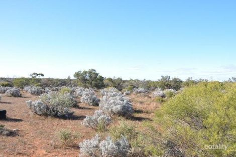 82 Ring Rd, Morgan, SA 5320