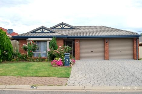 Property photo of 20 Cobbler Circuit Salisbury Heights SA 5109