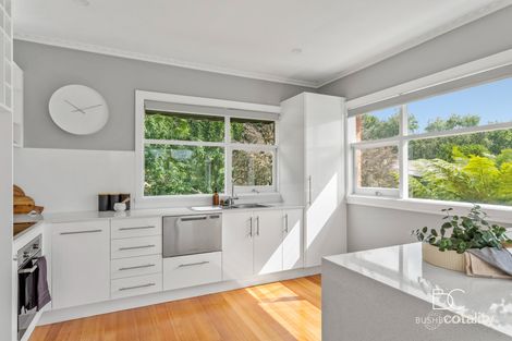Property photo of 47 Robin Street Newstead TAS 7250