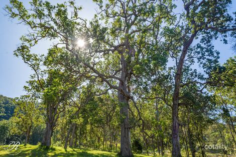 Property photo of 369 Crowthers Road Craven NSW 2422