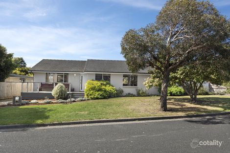 3 Fairfield Ave, Belmont, VIC 3216
