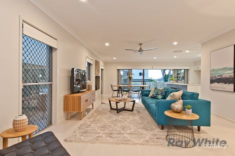 Property photo of 44 Somers Street Nudgee QLD 4014