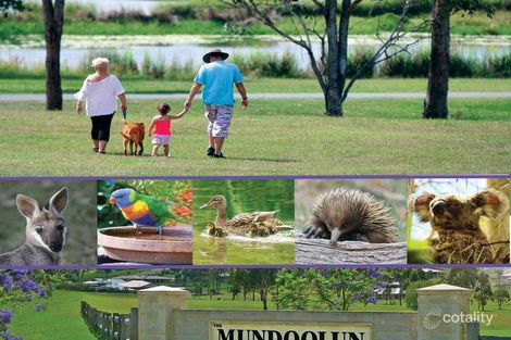 Property photo of 32 Bredalbane Street Mundoolun QLD 4285