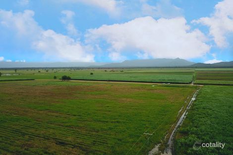 Property photo of 4 Crotons Road Lannercost QLD 4850