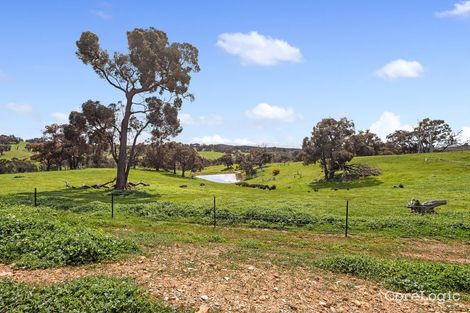 Property photo of 259 Sutton Grange Road Sedgwick VIC 3551