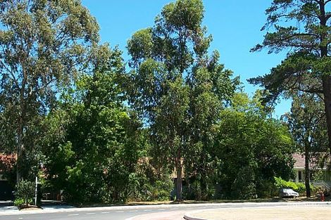 Property photo of 127 The Boulevard Floreat WA 6014