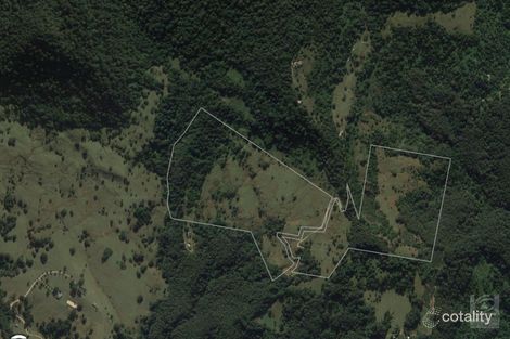 Property photo of 331 Settlement Road Numinbah NSW 2484