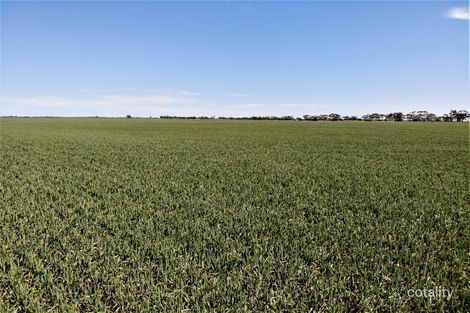 8033 Robinvale-Sea Lake Rd, Tyrrell Downs, VIC 3533