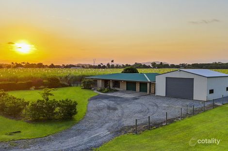 Property photo of 711 Murdering Point Road Kurrimine Beach QLD 4871