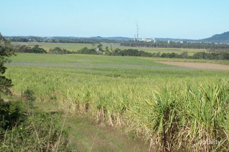 617 Devereux Creek Rd, Devereux Creek, QLD 4753