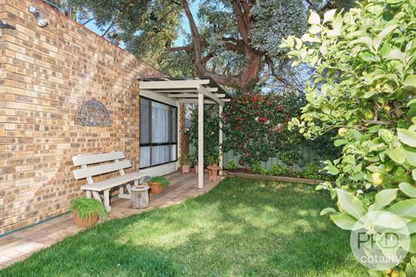 6 Paull St, Kooringal, NSW 2650