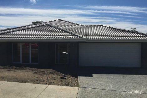 Property photo of 49 Wimmera Crescent Upper Coomera QLD 4209