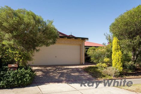 Property photo of 10 Harvey Crescent Kardinya WA 6163