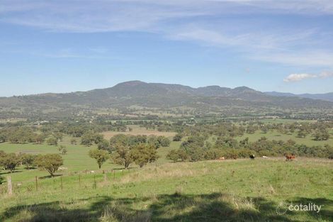 81 Haydons Woolshed Rd, Blandford, NSW 2338