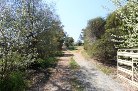 Property photo of 2010 Murringo Road Murringo NSW 2586