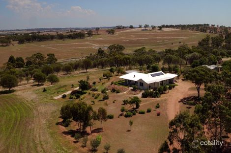 571 Northam-Pithara Rd, Irishtown, WA 6401