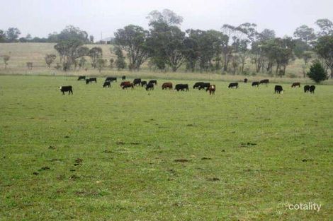 Property photo of 402 Castledoyle Road Armidale NSW 2350