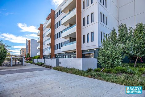 47/162 Flemington Rd, Harrison, ACT 2914