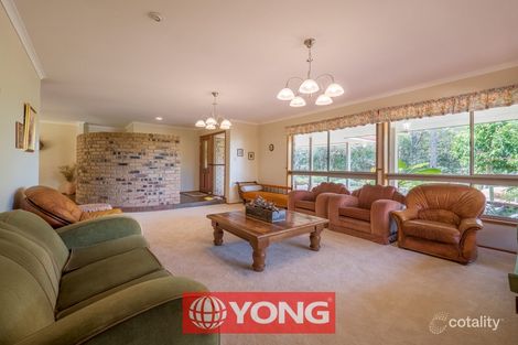 Property photo of 93 Arafura Street Upper Mount Gravatt QLD 4122
