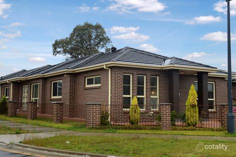 Property photo of 29 Grampian Avenue Minto NSW 2566