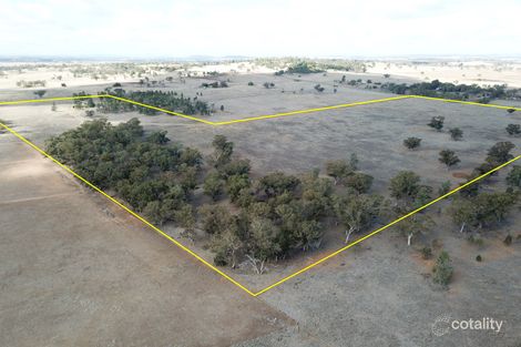 21r Bulwarra Dr, Dubbo, NSW 2830