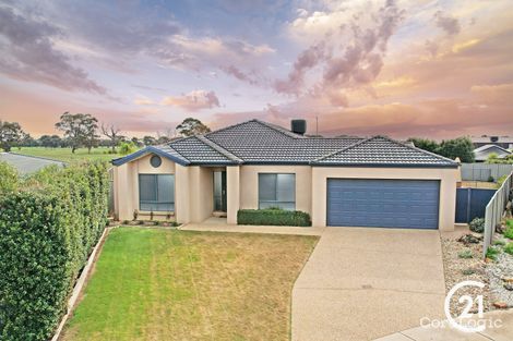 Property photo of 7 Wren Court Echuca VIC 3564