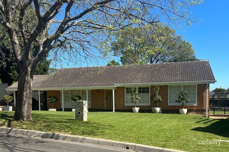 Property photo of 3 Kentucky Avenue Panorama SA 5041