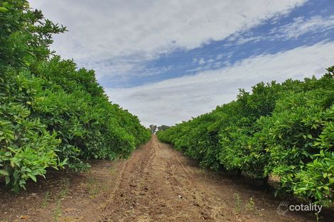 473 River Rd, Swan Reach, SA 5354