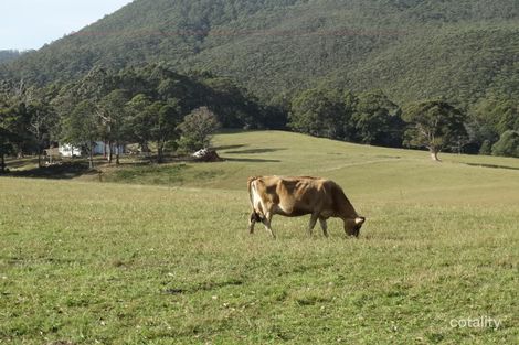 1087 Pine Rd, Riana, TAS 7316