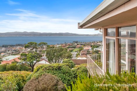 19 Ascot Ave, Sandy Bay, TAS 7005