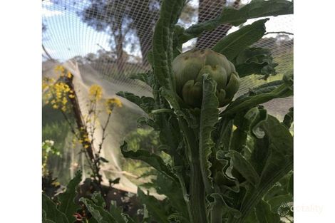 Property photo of 55 Johnsons Road Extension Barongarook VIC 3249