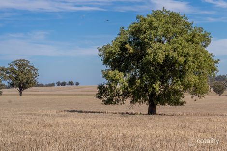 397 Mugincoble Lane, Parkes, NSW 2870