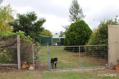 Property photo of 1 Short Street Warialda NSW 2402