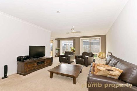 Property photo of 51 Cyperus Crescent Carseldine QLD 4034