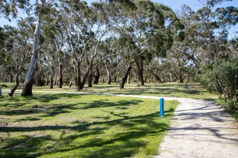 Property photo of 6 Shellback Lane Inverloch VIC 3996