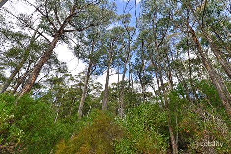 261 Top Swamp Rd, Lachlan, TAS 7140