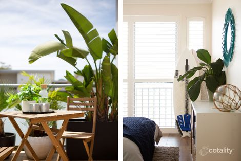 Property photo of 37/76-80 Kenneth Road Manly Vale NSW 2093